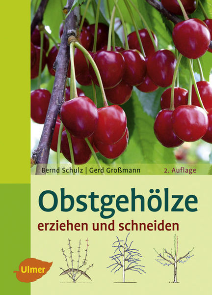 Obstgehölze erziehen und schneiden Gartenratgeber Shop